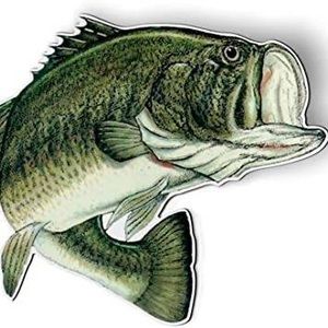 Meet your Posher, Bobby